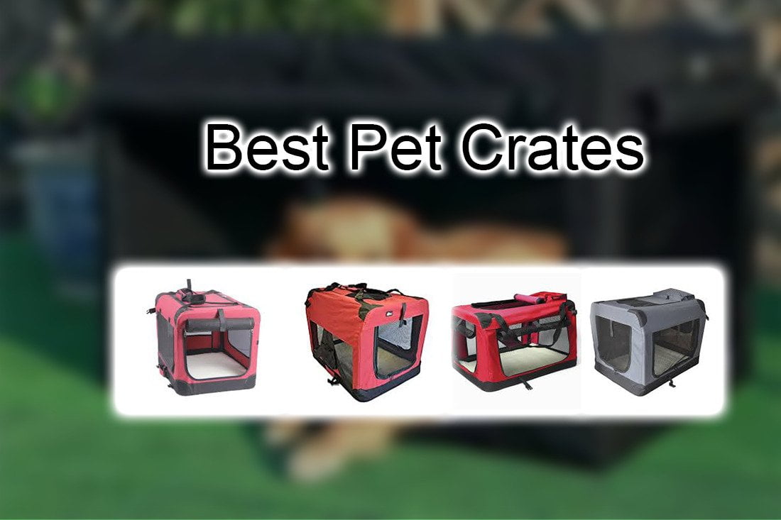 Best Pet Crate Pet Lover Blog