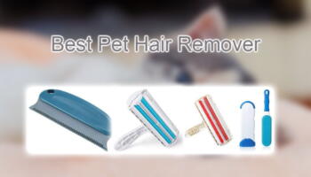 Top 6 Best Pet Hair Remover Brush for Clothing or Furniture