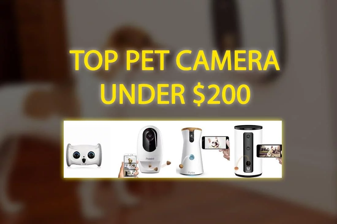 top 6 Best Pet Camera with Phone App Pet Lover Blog pet experts